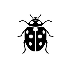 Marienkäfer Glücksbringer Vektor Symbol
