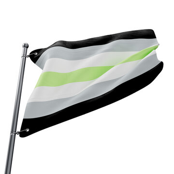 3D flag of the Agender pride with transparent background