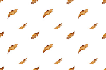 Simple pattern with oak leaves with light backdrop for any design. Digital watercolor illustration