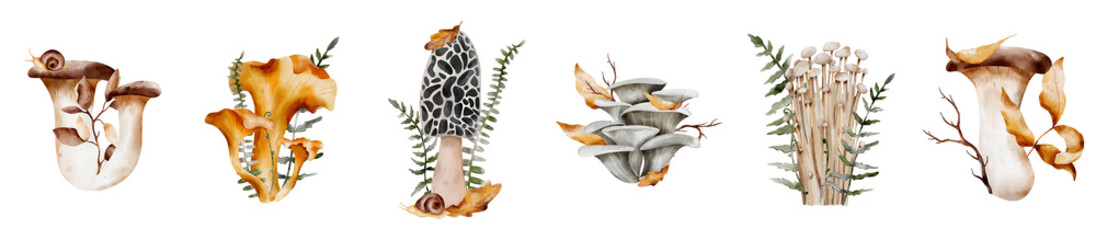 Set of composition with mushrooms and leaves, branches, and fern for postcard, and print. Digital watercolor illustration of Chanterelle, King Oyster, Enoki, Morel and Portobello - obrazy, fototapety, plakaty