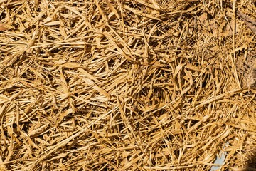 Dry rice straw texture for background and design, hay bale pattern.