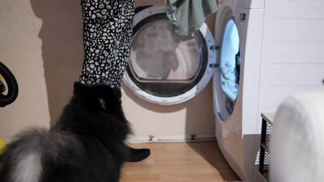 a young girl with a smile takes clothes from the dryer, while her attentive black dog watches the happening with interest. The image captures a sincere moment of home life