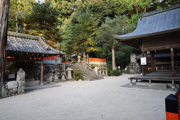  A Japanese shrine : a scene of the precincts of Sagimori-jinjya Shrine in Kyoto City　日本の神社：京都市にある鷺森神社境内の風景