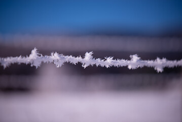Barbed wire covered with ice crystals. Severe cold in the winter season in the mountains