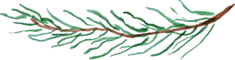 Watercolor pine branch. Winter illustration. Vector.