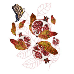 Pomegranate illustration with butterfly and leaves