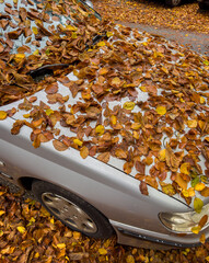 Beginning of fall, falling leaves and foliage on a car windshield - 675373797