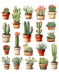 Foto op Plexiglas Cactus in pot set of cactus