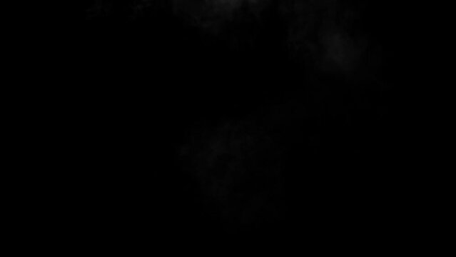 Abstract white smoke animation on a black background. Smoke, steam, explosion, fire, puff, steady vapors. Realistic smoke cloud from up and button with floating fog. Best for using in composition.