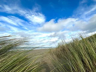 Poster de jardin Mer du Nord, Pays-Bas Landscape view of sand dune on the North sea coast at the island Texel