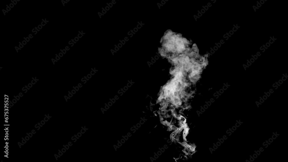 Wall mural abstract white smoke animation on a black background. smoke, steam, explosion, fire, puff, steady va