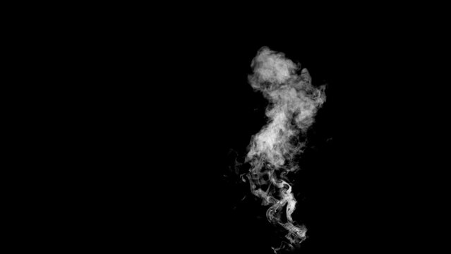 Abstract white smoke animation on a black background. Smoke, steam, explosion, fire, puff, steady vapors. Realistic smoke cloud from up and button with floating fog. Best for using in composition.
