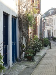 Fototapeta na wymiar Vibrant alleyway in the historic city of Haarlem in the Netherlands