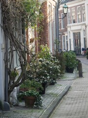 Vibrant alleyway in the historic city of Haarlem in the Netherlands