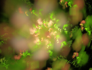 Imaginatory fractal abstract background Image