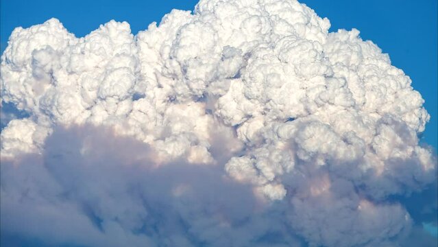 Pyrocumulonimbus Clouds