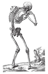 Vintage engraving of a praying human skeleton
