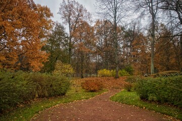Fototapeta na wymiar Colorful trees in autumn park