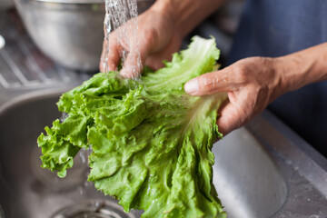 Photograph of hands washing lettuce leaves in a common laundry room. Food and health concept.