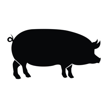 Pig sign. Isolated black silhouette of a pig on a white background. Vector illustration ​