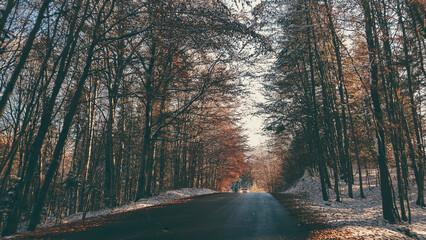 Fairy tale road through the frozen forest from the mountains. Asphalt cleared of snow in the winter...