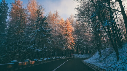 Fairy tale road through the frozen forest from the mountains. Asphalt cleared of snow in the winter season