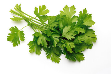 Fototapeta premium Parsley fresh healthy herb leaves on white background. Fresh wholefoods farmer's market produce. Healthy lifestyle concept and healthy food.