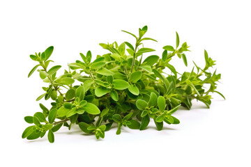 Thyme fresh healthy herb leaves on white background. Fresh wholefoods farmer's market produce. Healthy lifestyle concept and healthy food.
