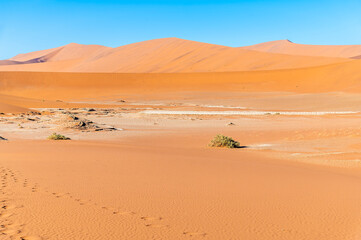A view of a sand wall before the dead valley in Sossusvlei, Namibia in the dry season