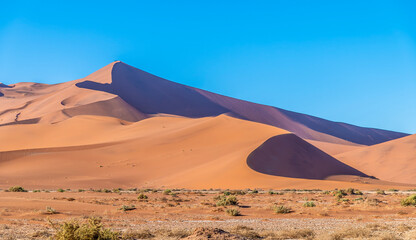 Fototapeta na wymiar A view of the sand dune above the dead valley in Sossusvlei, Namibia in the dry season