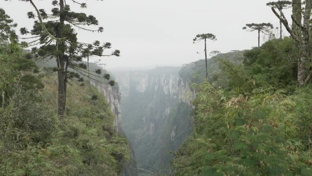 Itaimbezinho canyon at the Aparados da Serra National Park, located in the Serra Geral range of Rio Grande do Sul and Santa Catarina between coastal forests, grasslands and Araucaria moist forests.
