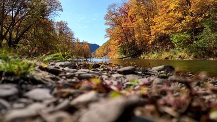 Peaceful Pine Creek flowing through mountains in Autumn Fall colors in trees at The Pennsylvania...
