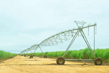 irrigation system in sugar cane fields
