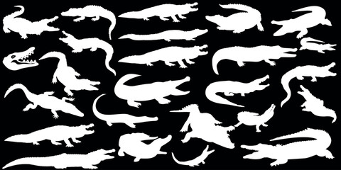 Crocodile, Alligator Vector, Illustration, White Silhouettes. lizard, Reptile, Predator, Animal, Wild, Nature, Danger, Teeth, Jaws, Carnivore, Swamp, Nile, Africa, Australia, American, Caiman, Gharial