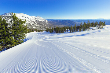 Fototapeta premium Snow velvet and blue sky on ski slope on on mount Green, Sheregesh ski resort. Prepared ski and snowboard track with trace of snow groomer on snow. Beautiful sunny winter day for sport, leisure