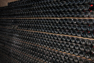 Wine storage in cellars, France