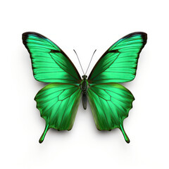 Bright Green Butterfly Isolated on Clean White Background