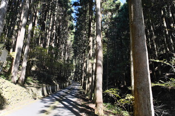 秩父の山道　Mountain Roads in Chichibu