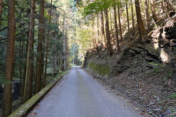 秩父の山道　Mountain Roads in Chichibu