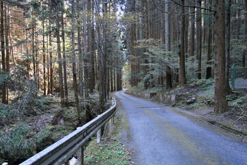 秩父の山道　Mountain Roads in Chichibu