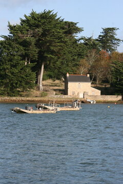 Île de Fandouillec, ria d'Etel (Bretagne, Morbihan, France)
