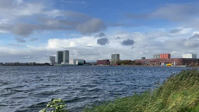 Almere cityscape at waterfront in a windy day with lots of bird in the lake