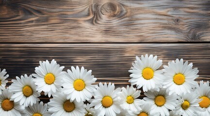 Nature’s Simplicity: Beautiful White Daisies on a Wooden Background