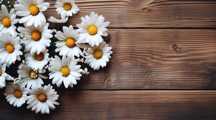 Nature’s Simplicity: Beautiful White Daisies on a Wooden Background