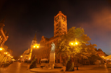 Toruń's Gothic town hall at night © robnaw
