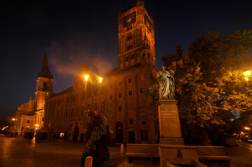 Toruń's Gothic town hall at night © robnaw