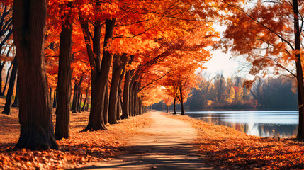 A colorful autumn landscape, the trees dressed in fiery hues, their leaves carpeting the ground.
