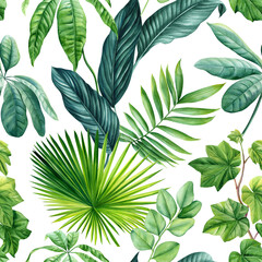 Tropical seamless pattern with palm Leaves, tropic plants on white background, watercolor botanical illustration