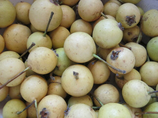 ripe wild pears collected in the autumn forest