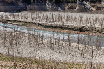 Drought in Spain, river of Congost de Mont Rebei with dry sand, low river with dry trees, global warming